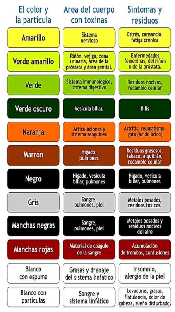 Desintoxicación Iónica - Imagen 3
