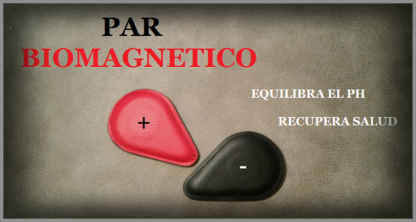 3-Biomagnetismo Cuántico y Par Biomagnético - Sesiones posteriores de mantenimiento - Imagen 3