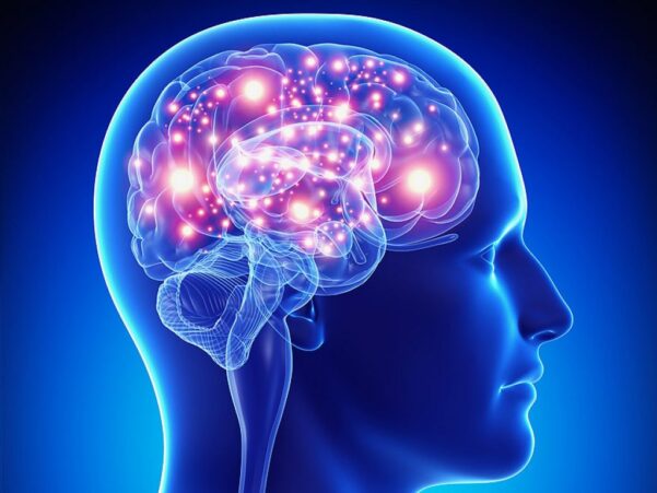 Neuro-Biomagnetismo - Imagen 3